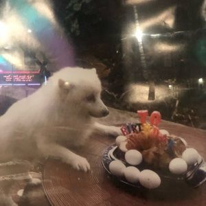 Meet your Posher, Catherine